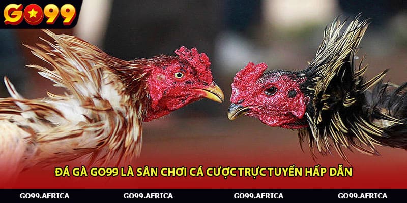 Đá gà Go99 là sân chơi cá cược trực tuyến hấp dẫn